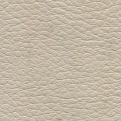 beige-324.jpg